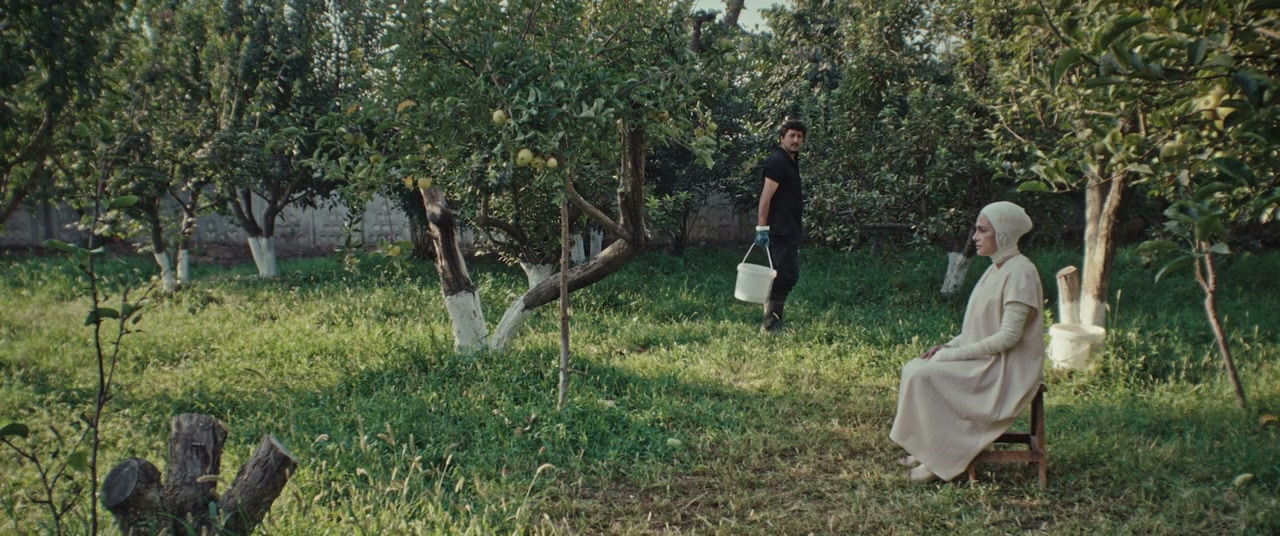 Black Rabbit, White Rabbit screenshot 1