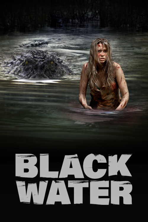 Black Water (2007) poster
