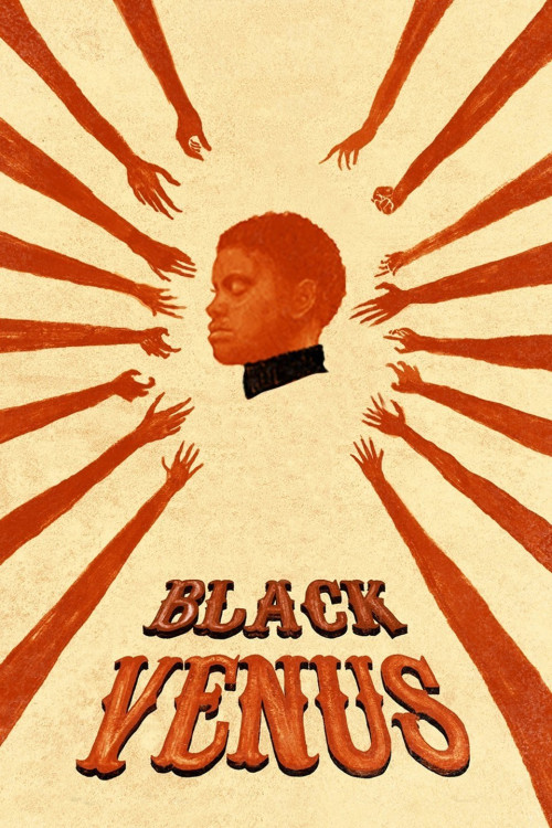 Vénus noire (2010) poster