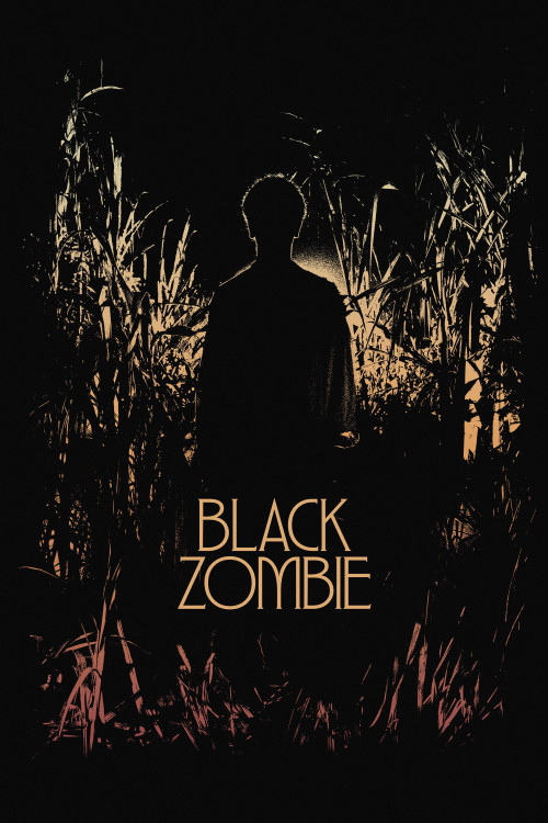 Black Zombie (2026) poster
