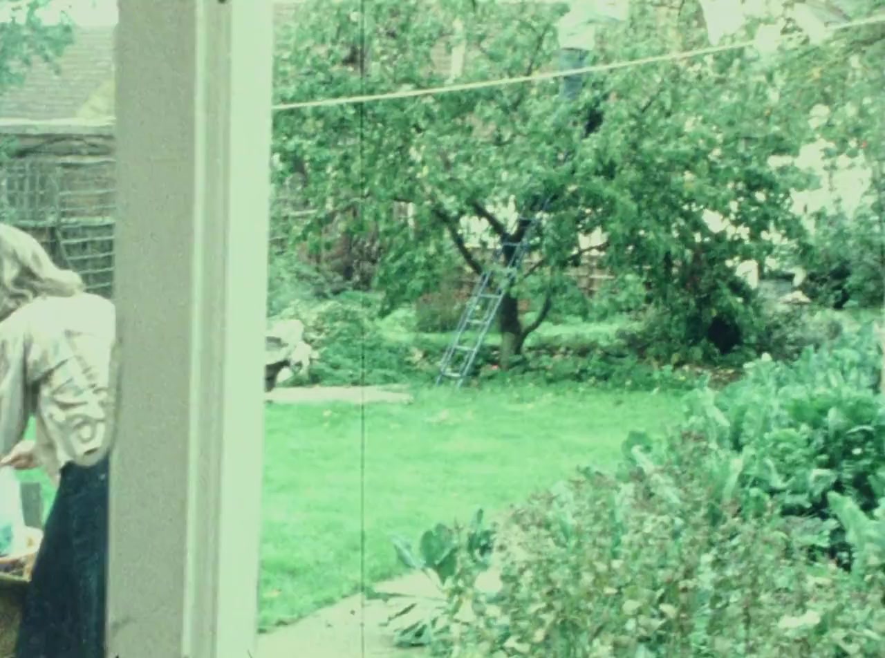 Blackbird Descending screenshot 1