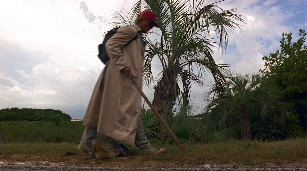 Blind Fury screenshot 1