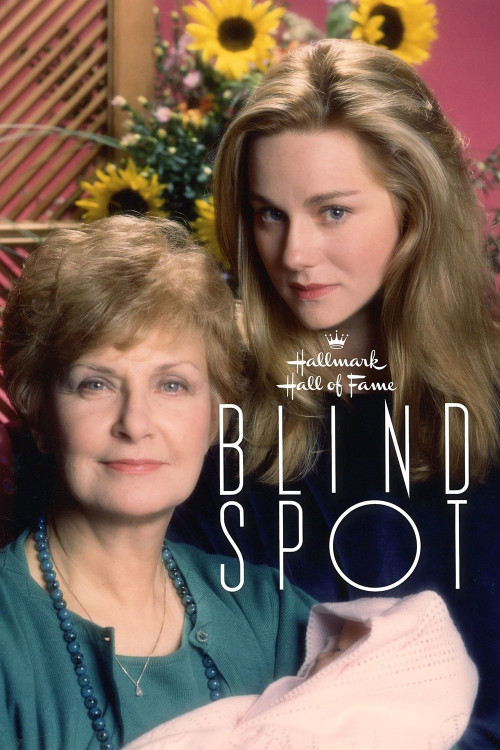 Blind Spot (1993) poster