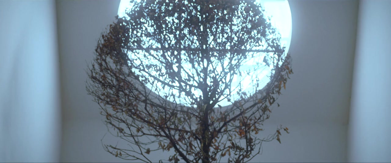 Bliss screenshot 1