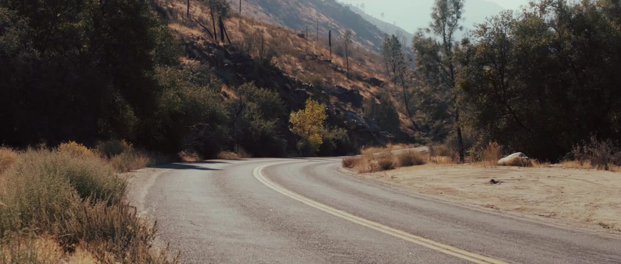 Bloomfield screenshot 3