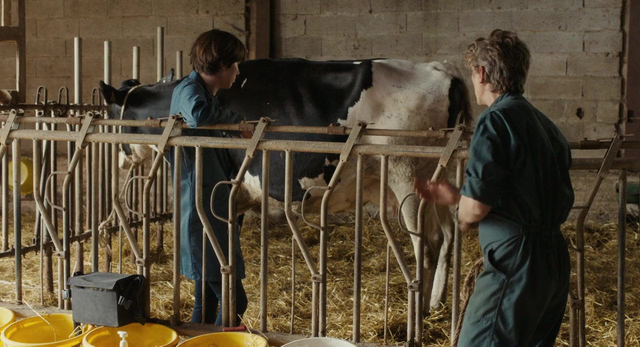 Petit paysan screenshot 2
