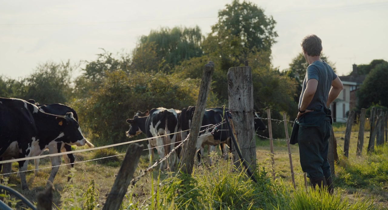 Petit paysan screenshot 3