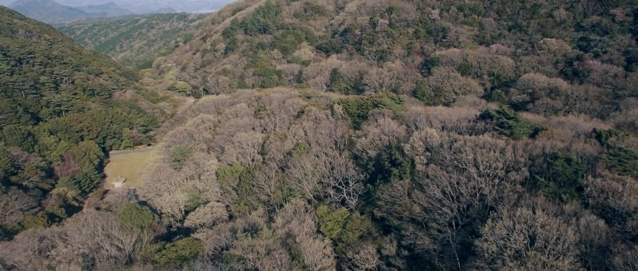 Chimamire sukeban chênsô red: Zenpen - Nero no fukushû screenshot 1