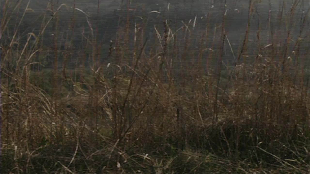 Bloody Innocent screenshot 2