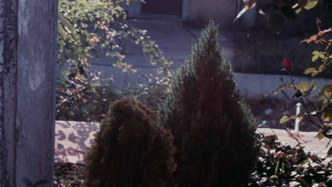 Blood screenshot 3