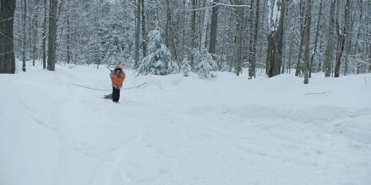 Allagash screenshot 2