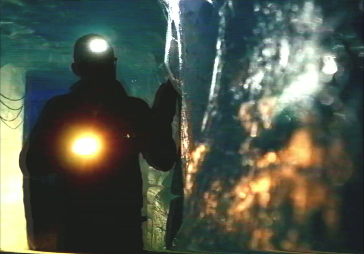 Blood of the Werewolf's Claw screenshot 3