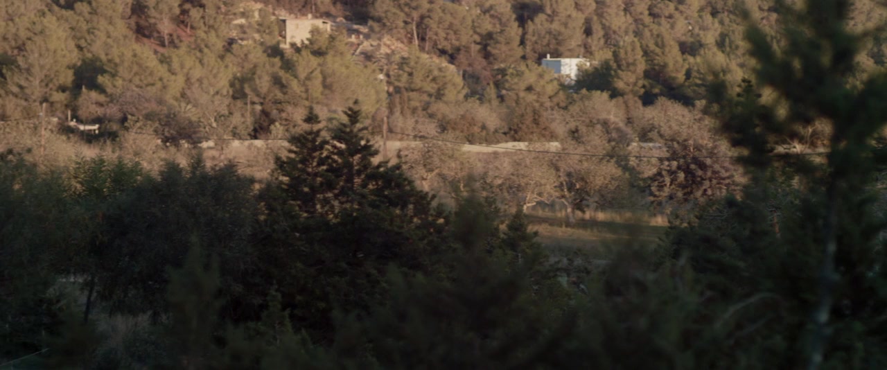 Blood Orange screenshot 3