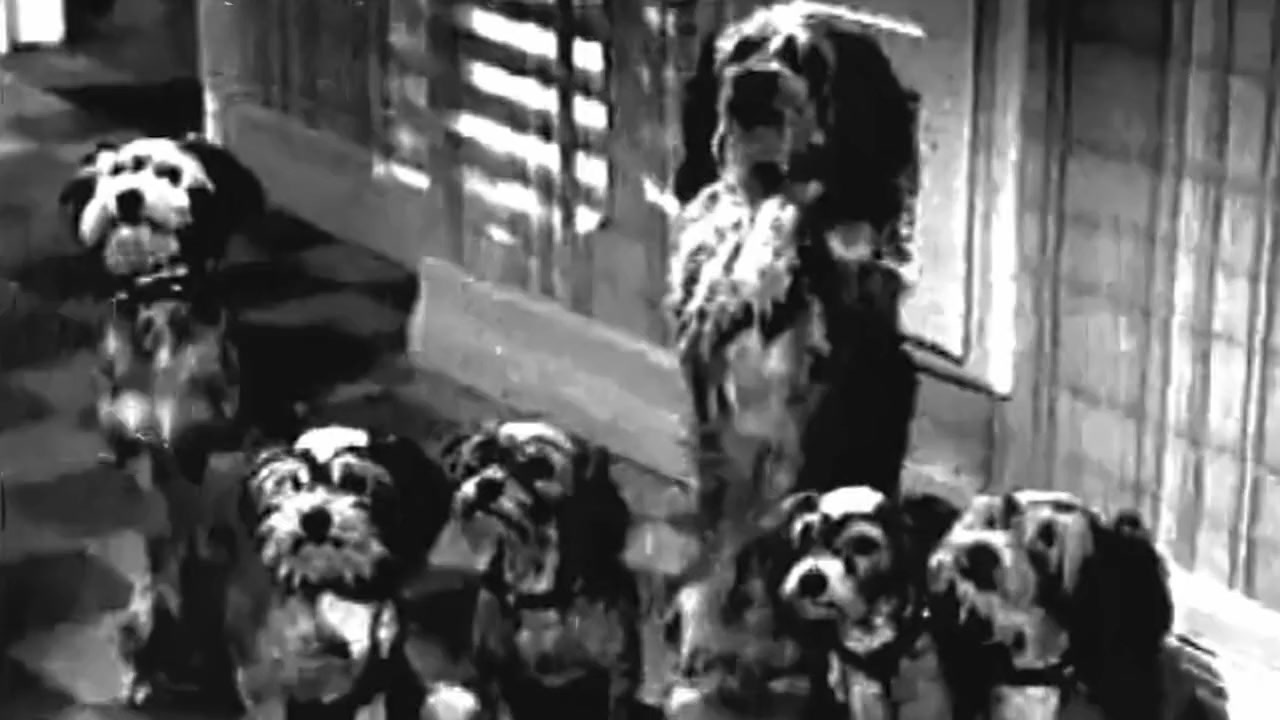 Blondie's Big Deal screenshot 2
