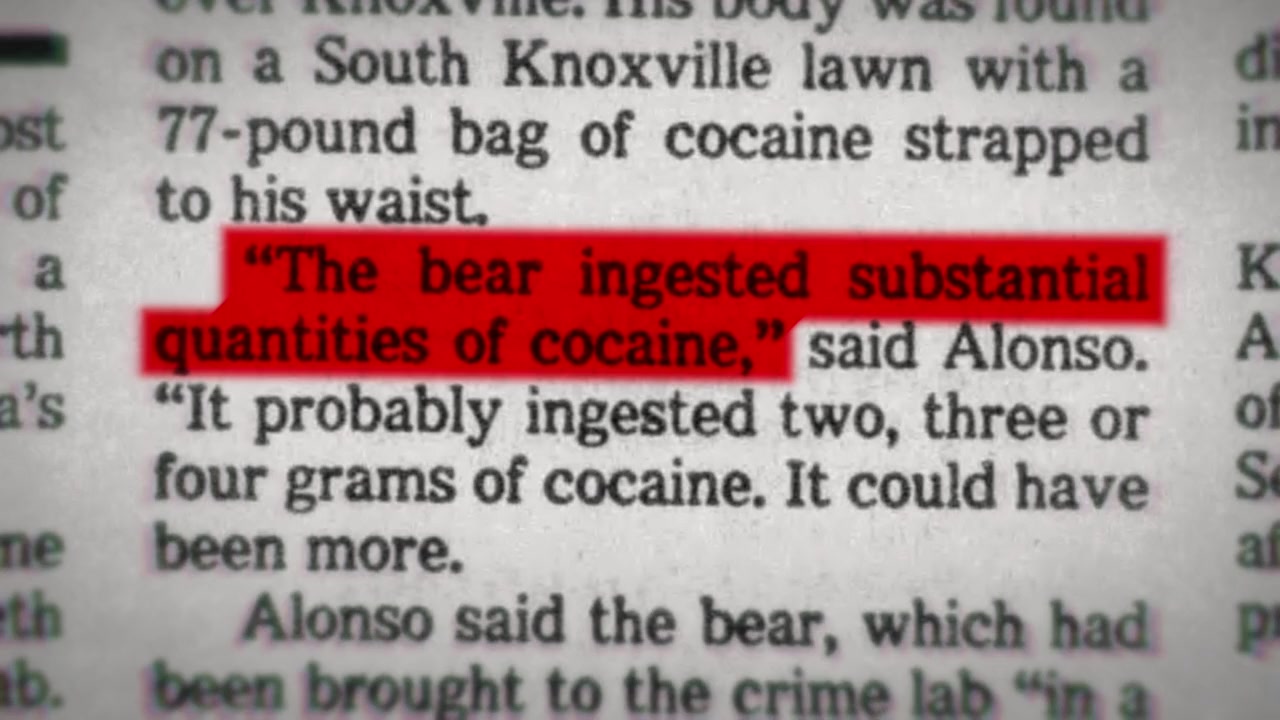Blow: The True Story of Cocaine, a Bear, and a Crooked Kentucky Cop screenshot 3