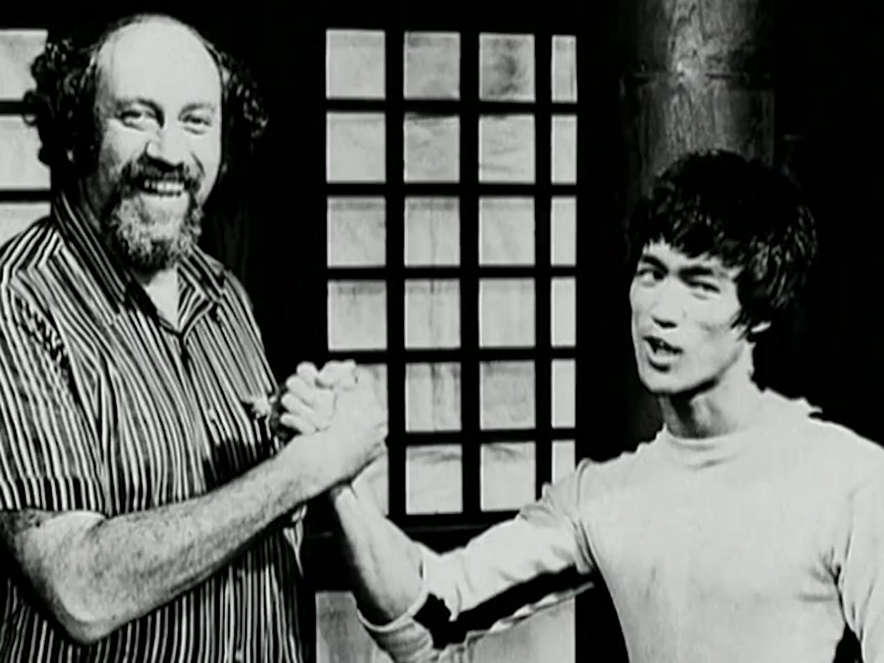 Bruce Lee: A Warrior's Journey screenshot 2