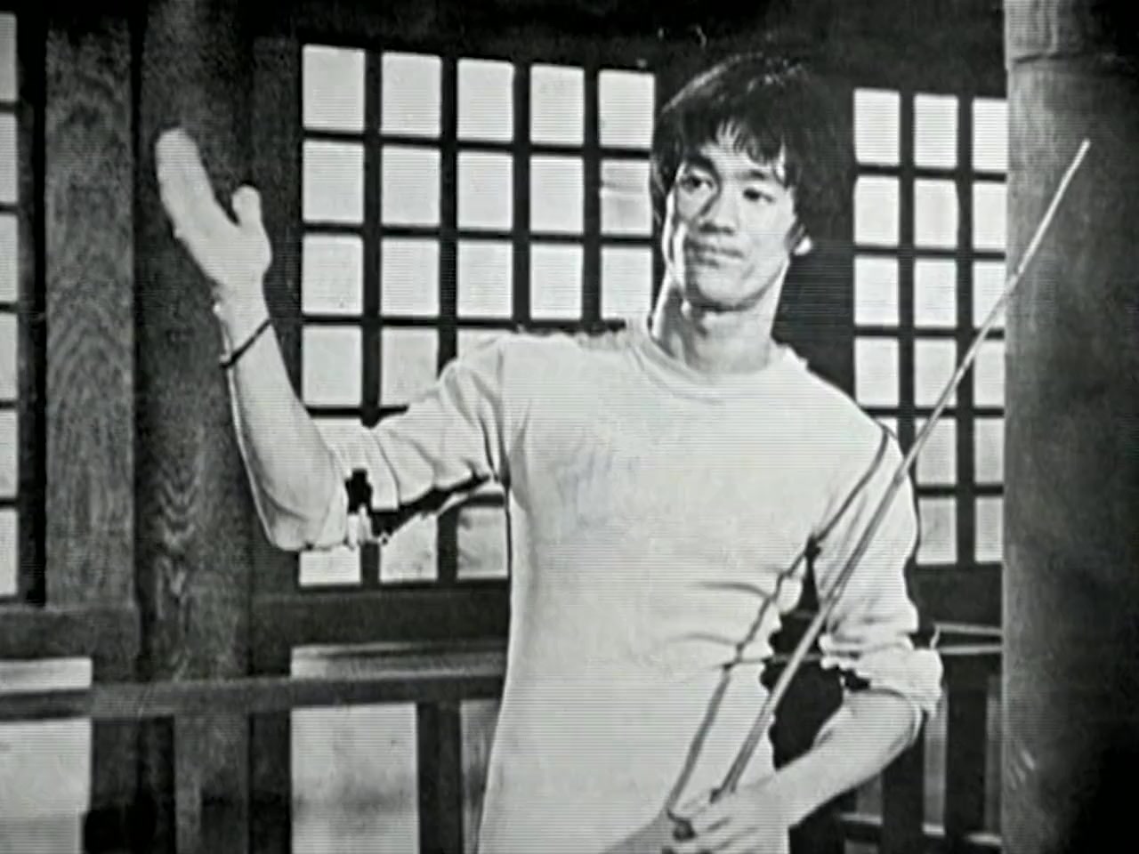 Bruce Lee: A Warrior's Journey screenshot 3