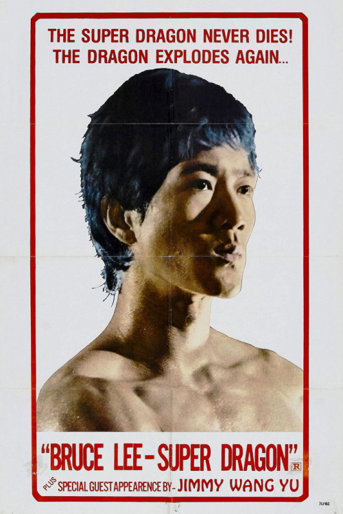 Yi dai meng long (1974) poster