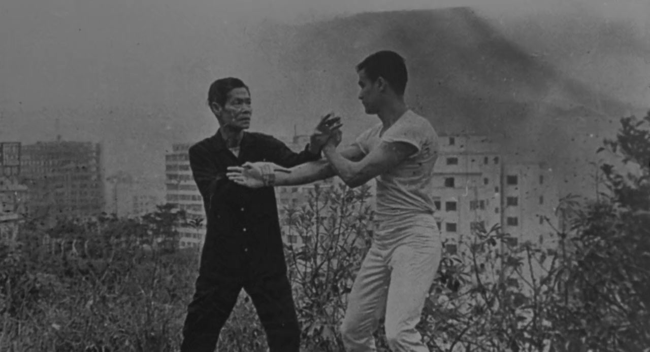 Bruce Lee: The Legend screenshot 2