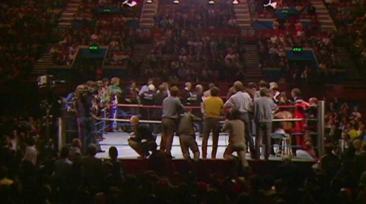 Bruno v Tyson screenshot 3