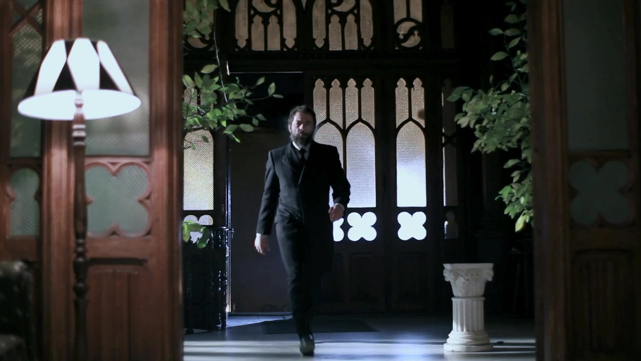 Brâncusi din eternitate screenshot 3