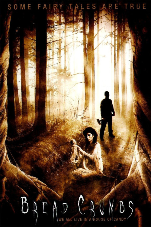Bread Crumbs (2011) poster