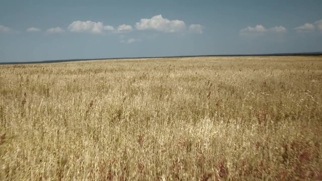 Breaking Point: The War for Democracy in Ukraine screenshot 3