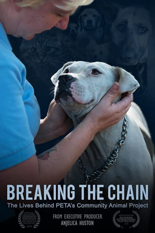Breaking the Chain (2020) poster