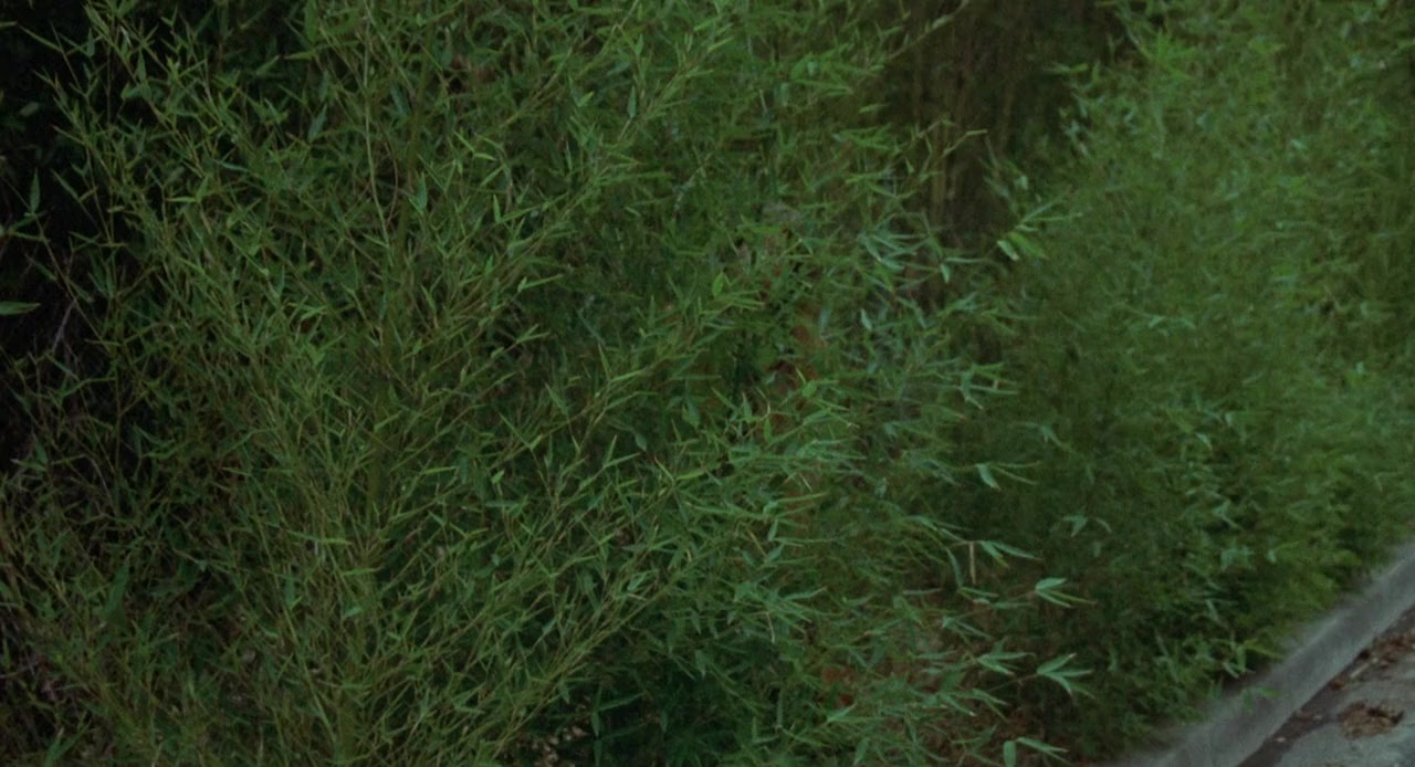 Breezy screenshot 1