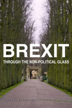 Brexit Through the Non-Political Glass (2021) poster