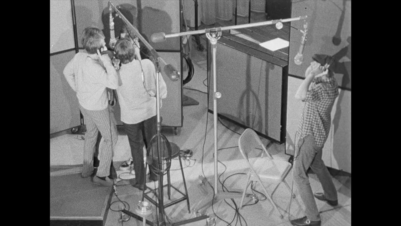 Brian Wilson: Long Promised Road screenshot 2