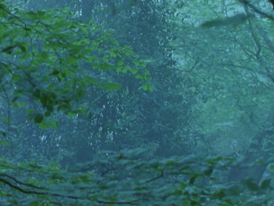 Bright Hair screenshot 2