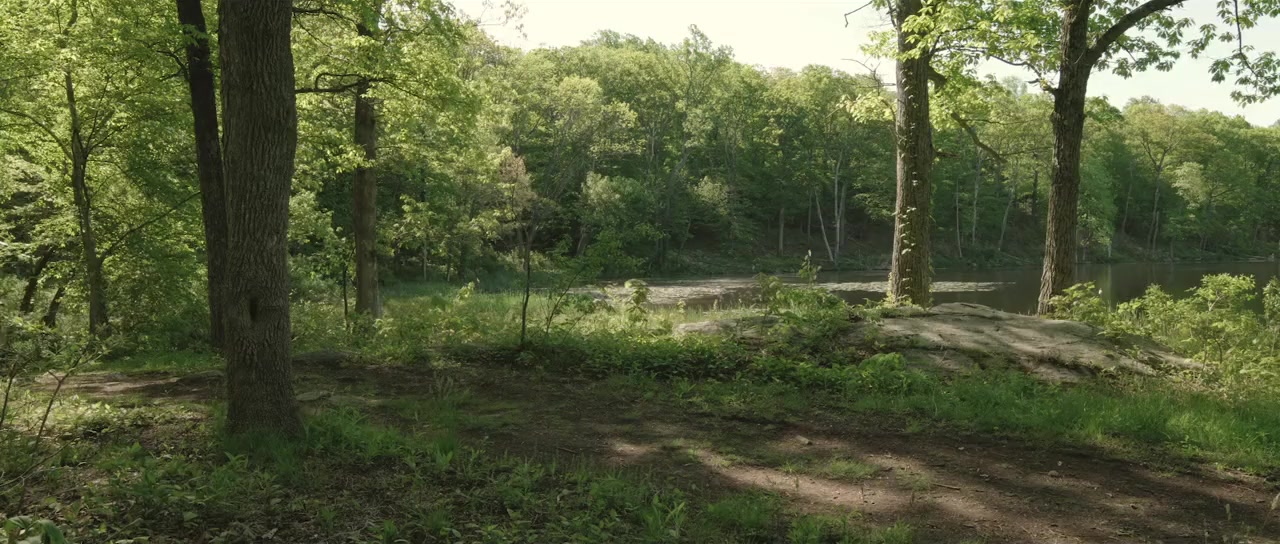 Brightwood screenshot 2