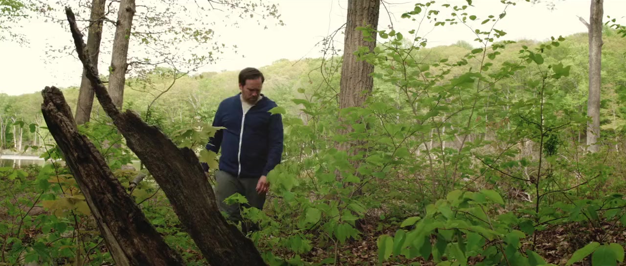 Brightwood screenshot 3