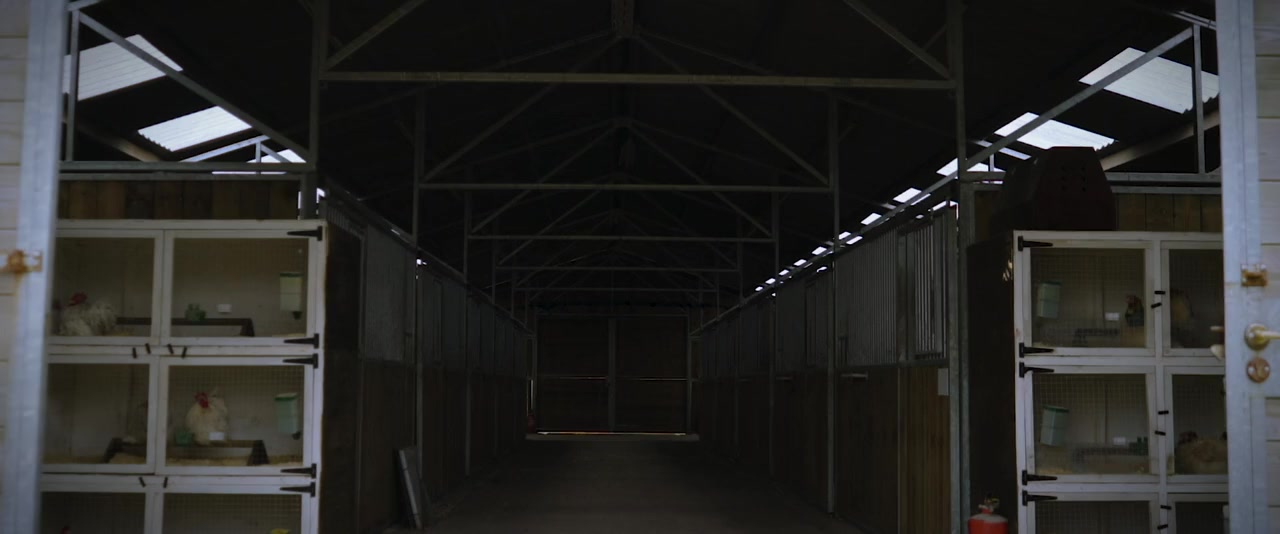 Bride of Scarecrow screenshot 2