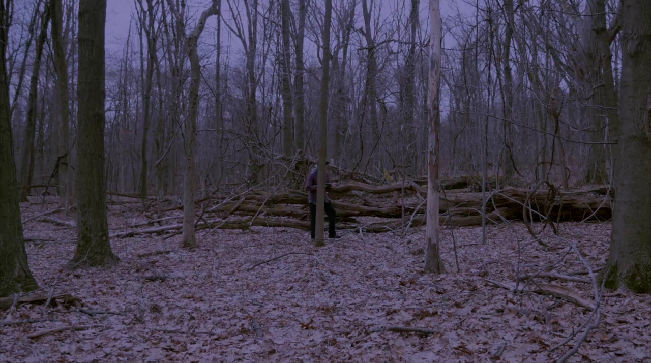 Bride of the Werewolf screenshot 1