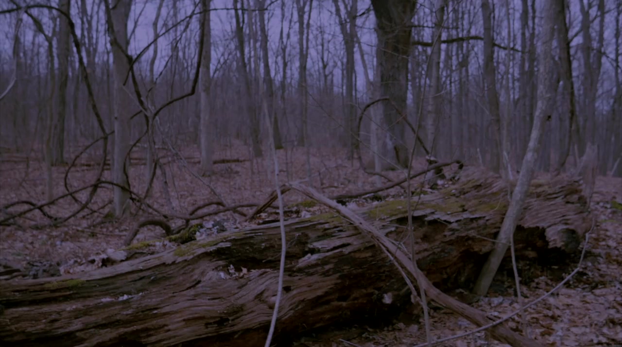 Bride of the Werewolf screenshot 3