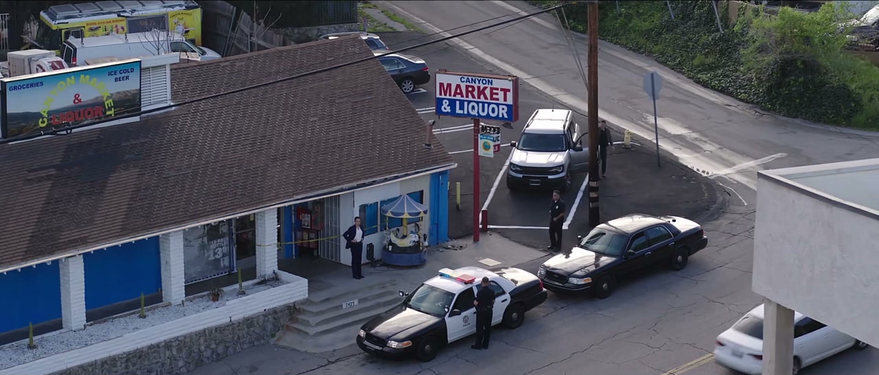Bring the Law screenshot 1