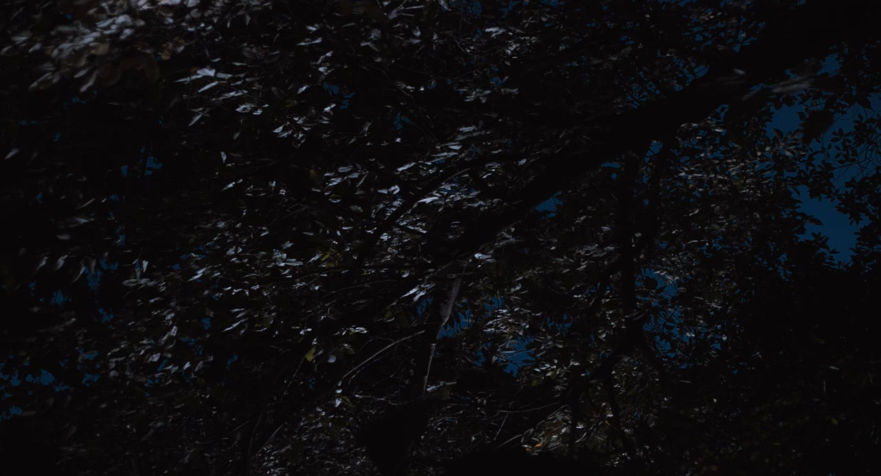Broadway screenshot 3