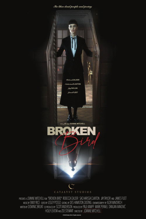 Broken Bird (2024) poster