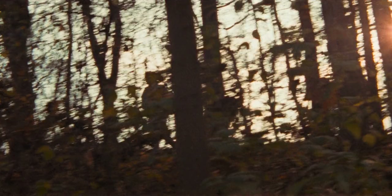 Sbormistr screenshot 2