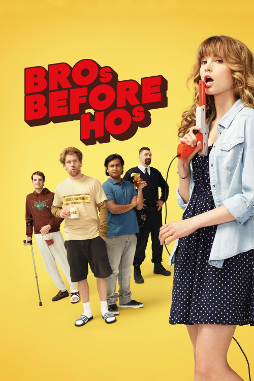 Bro's Before Ho's (2013) poster