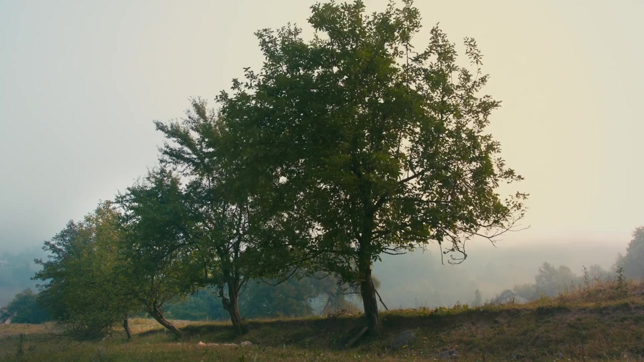 Brotherhood screenshot 1