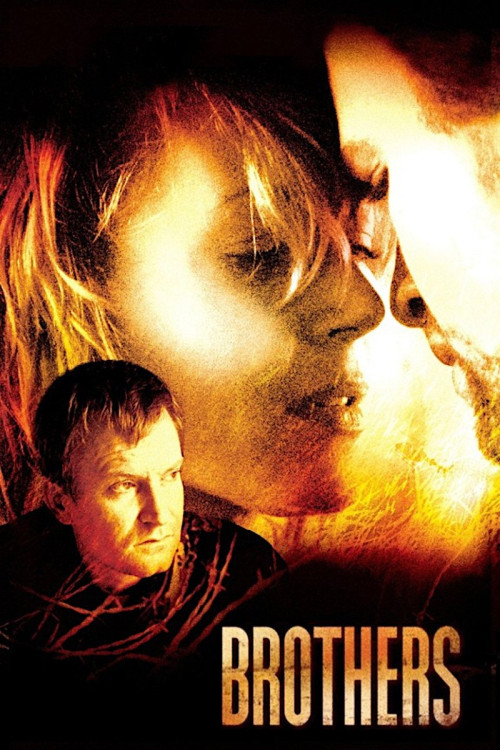 Brødre (2004) poster