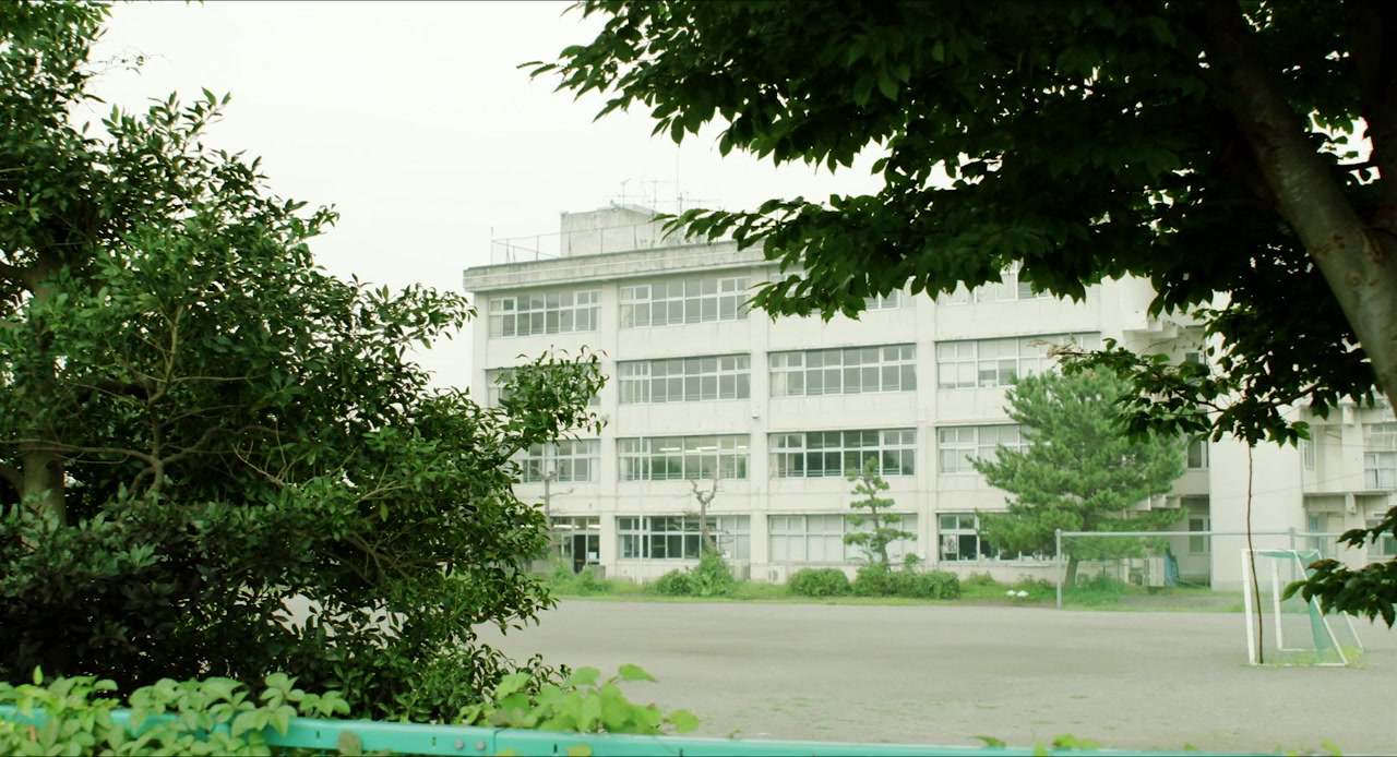 Ani Tomo screenshot 2