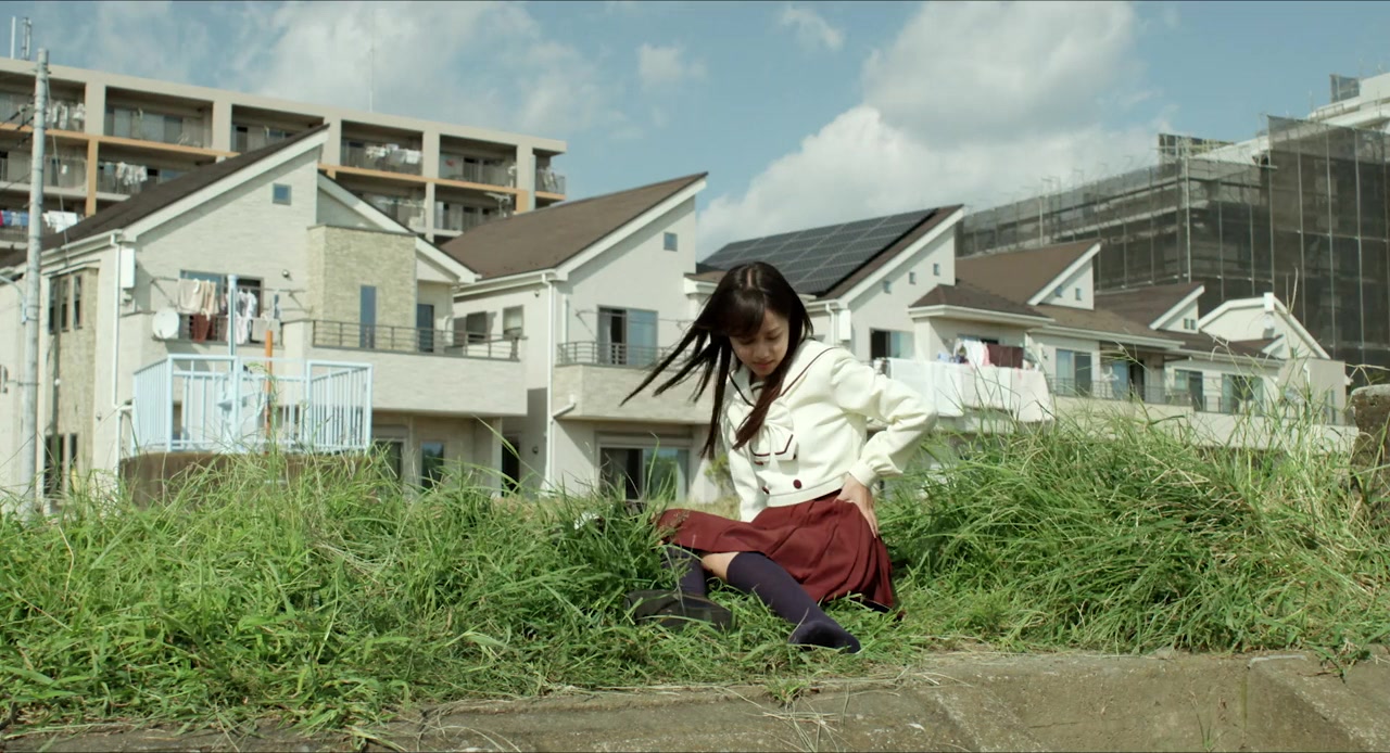 Ani Tomo screenshot 3