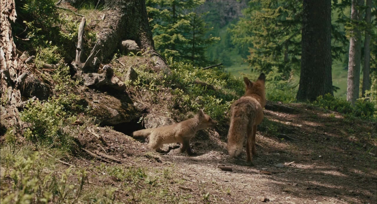 Brothers of the Wind screenshot 1