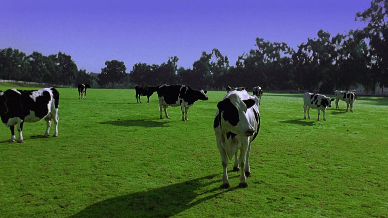 Buying the Cow screenshot 1