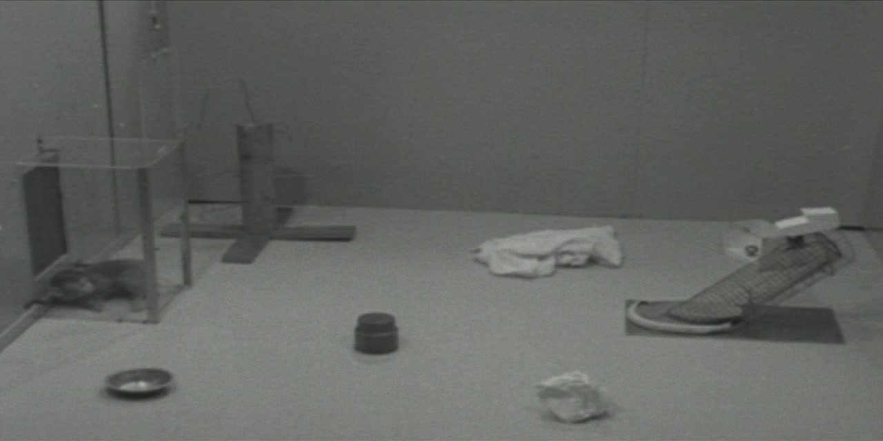 Buzzheart screenshot 2