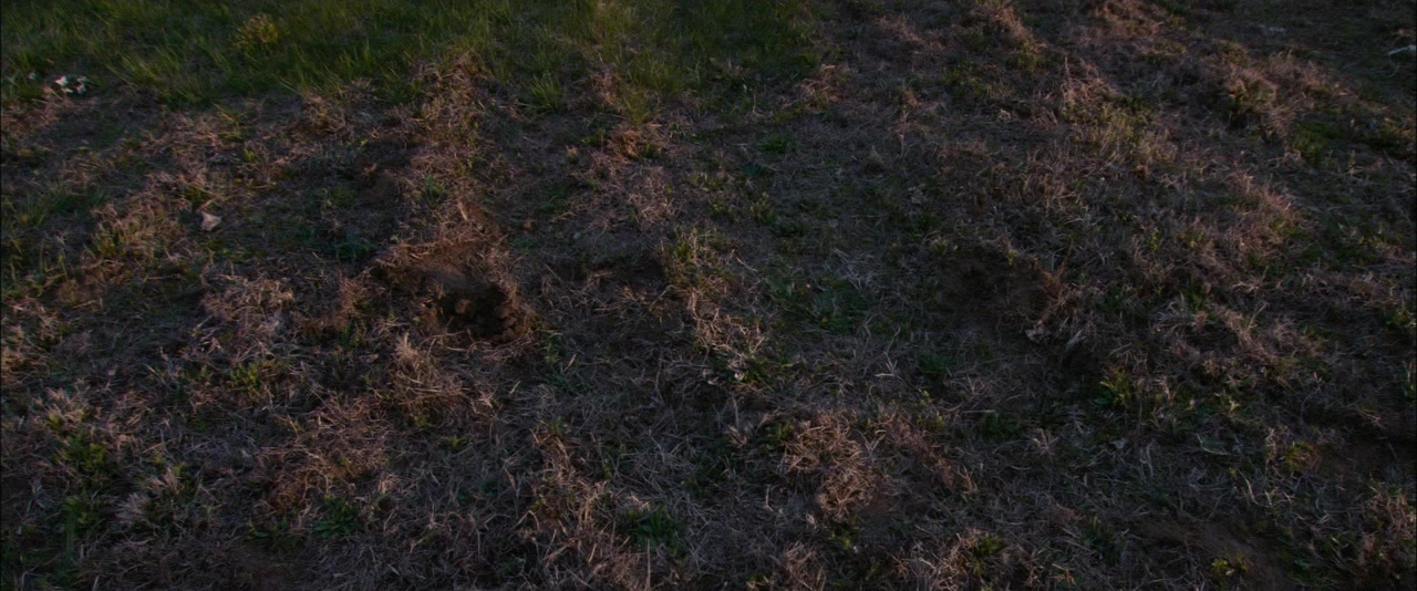 Bubble screenshot 1